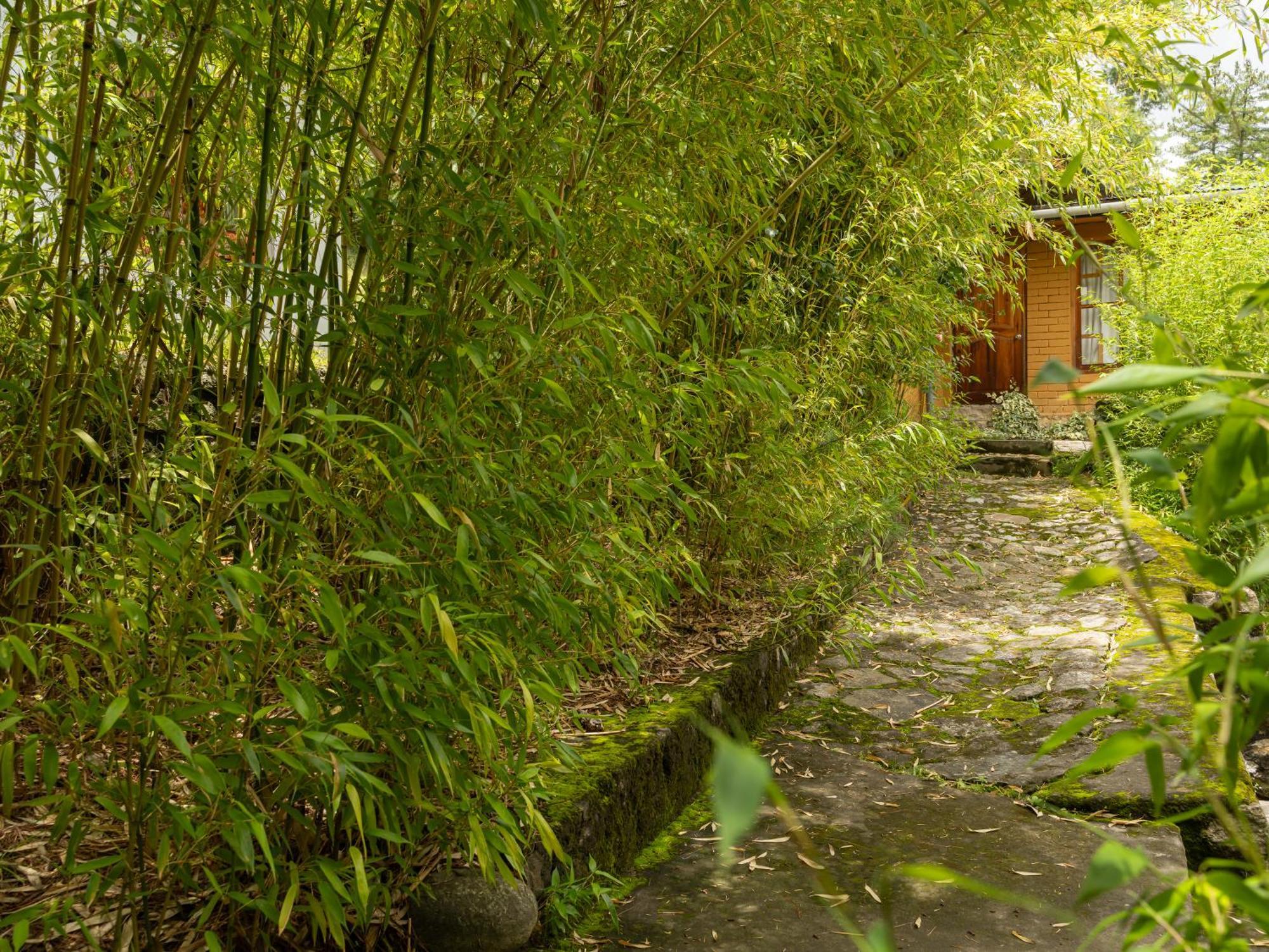 Tiger'S Nest Resort - Best Resort In Paro Exterior photo